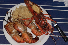 Seafood is freshly caught and prepared